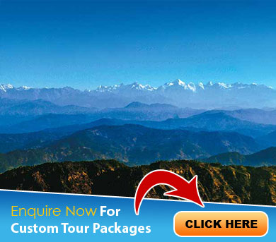 Binsar Tour Packages