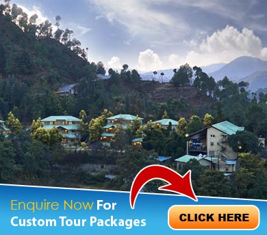 Binsar Tour Packages